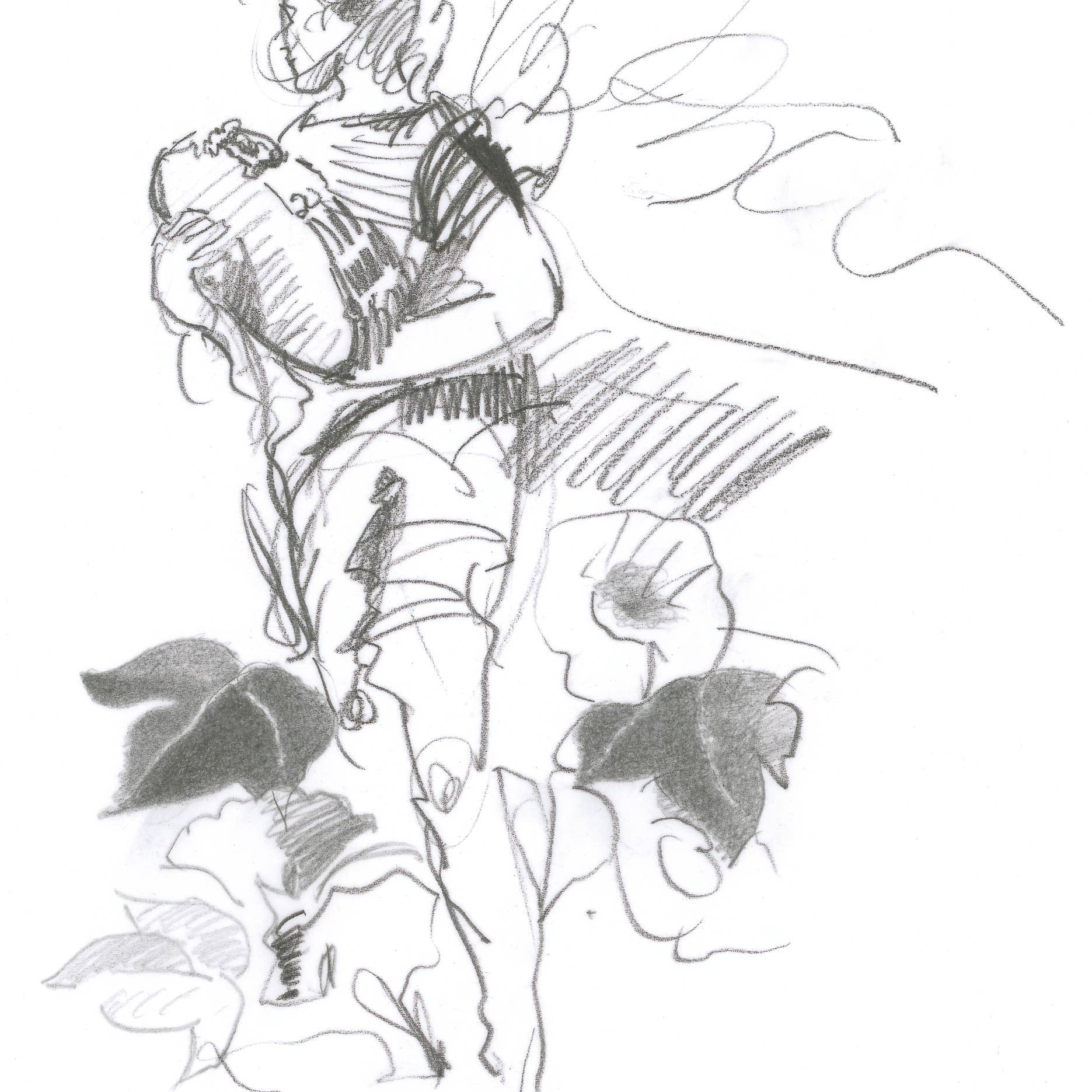 Faber-Castell 9000 Graphite Pencil
