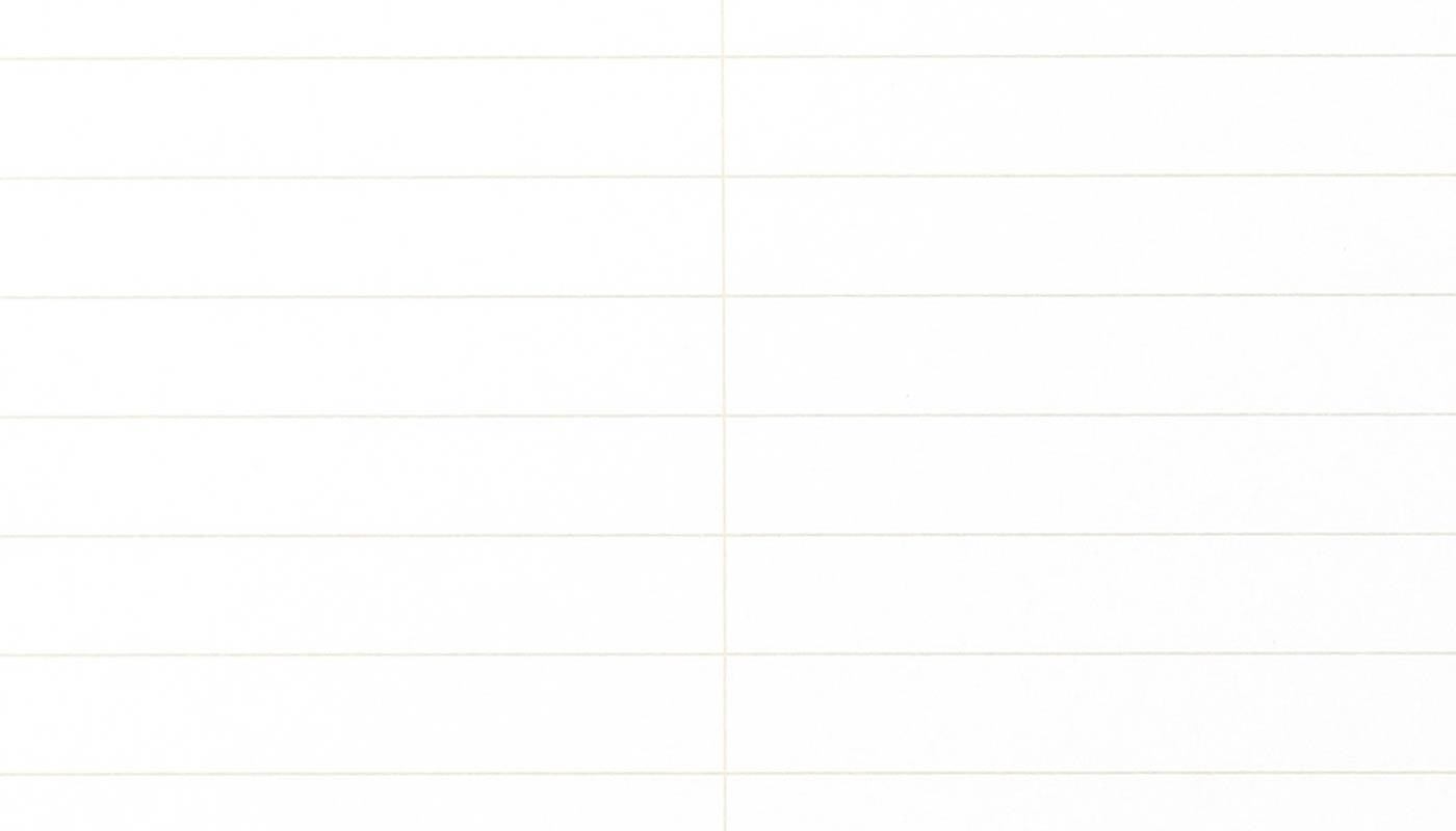 Field Notes Steno Pad Gregg-Ruled paper