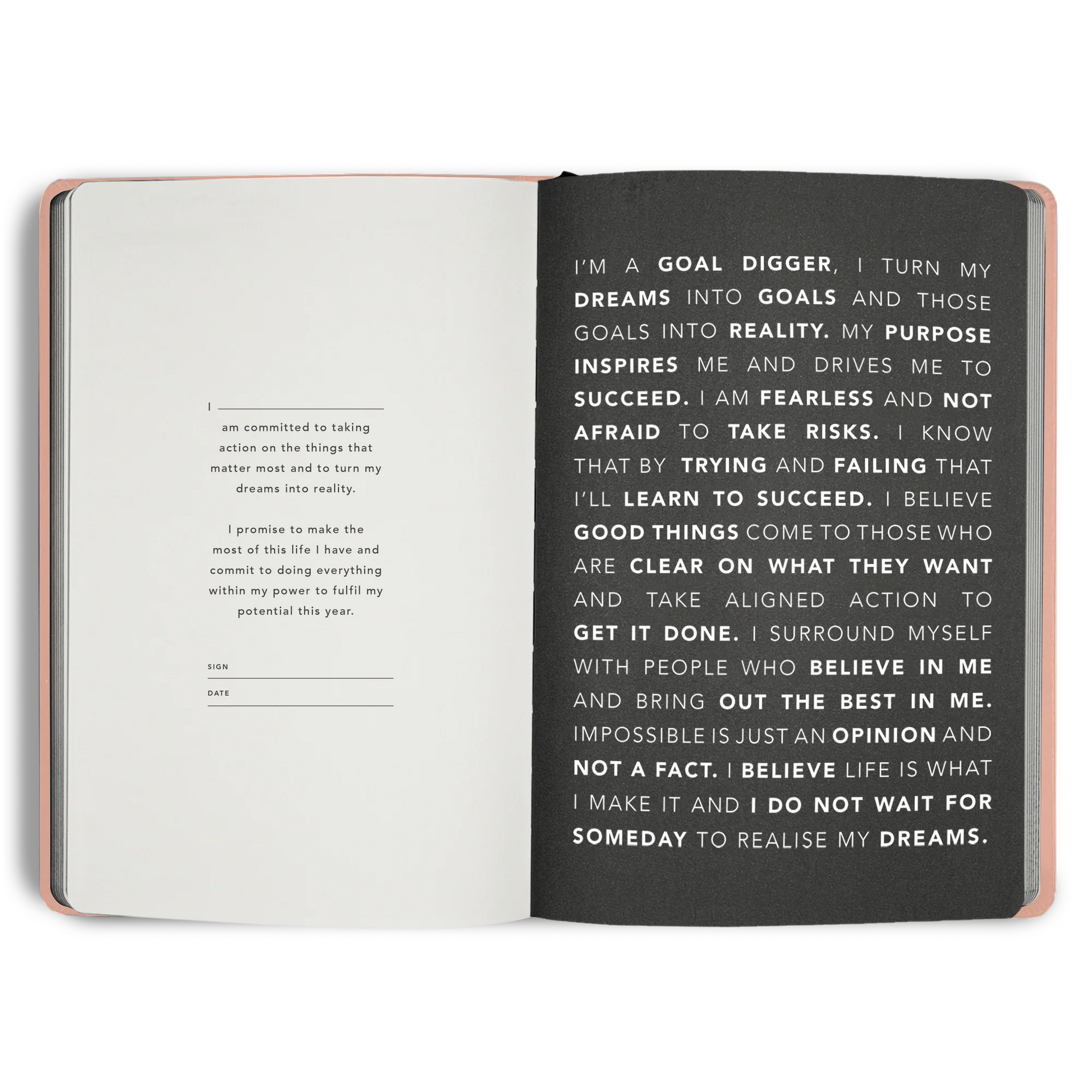 MiGoals Goal Digger Planner 2026