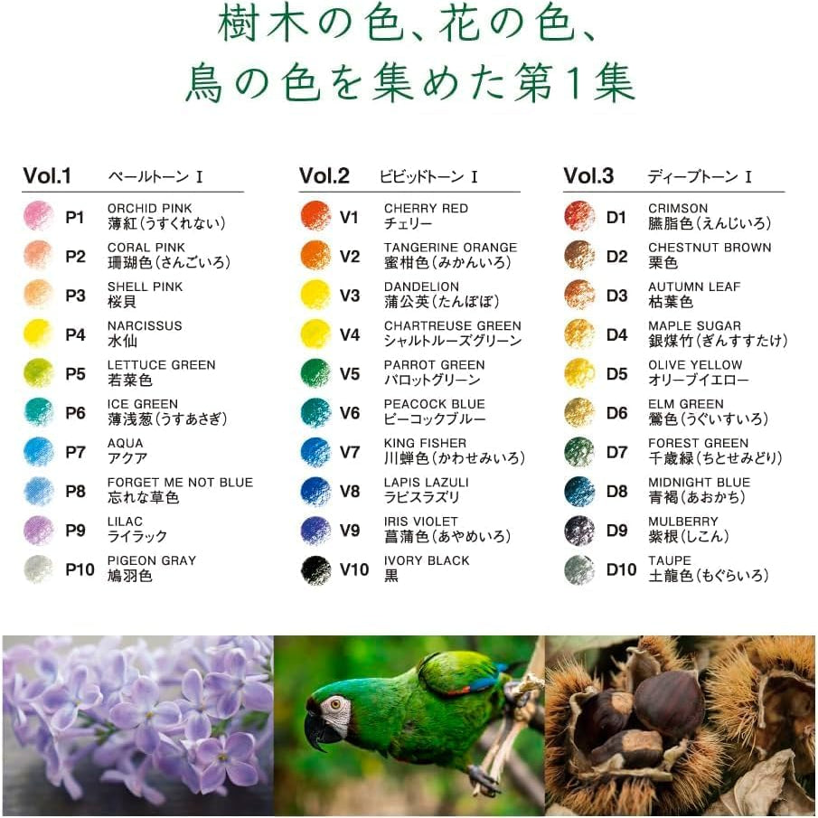 Irojiten Colour Dictionary Pencils: Rainforest Vol 1, Vol 2, Vol 3