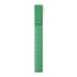 Clip ruler green on white background