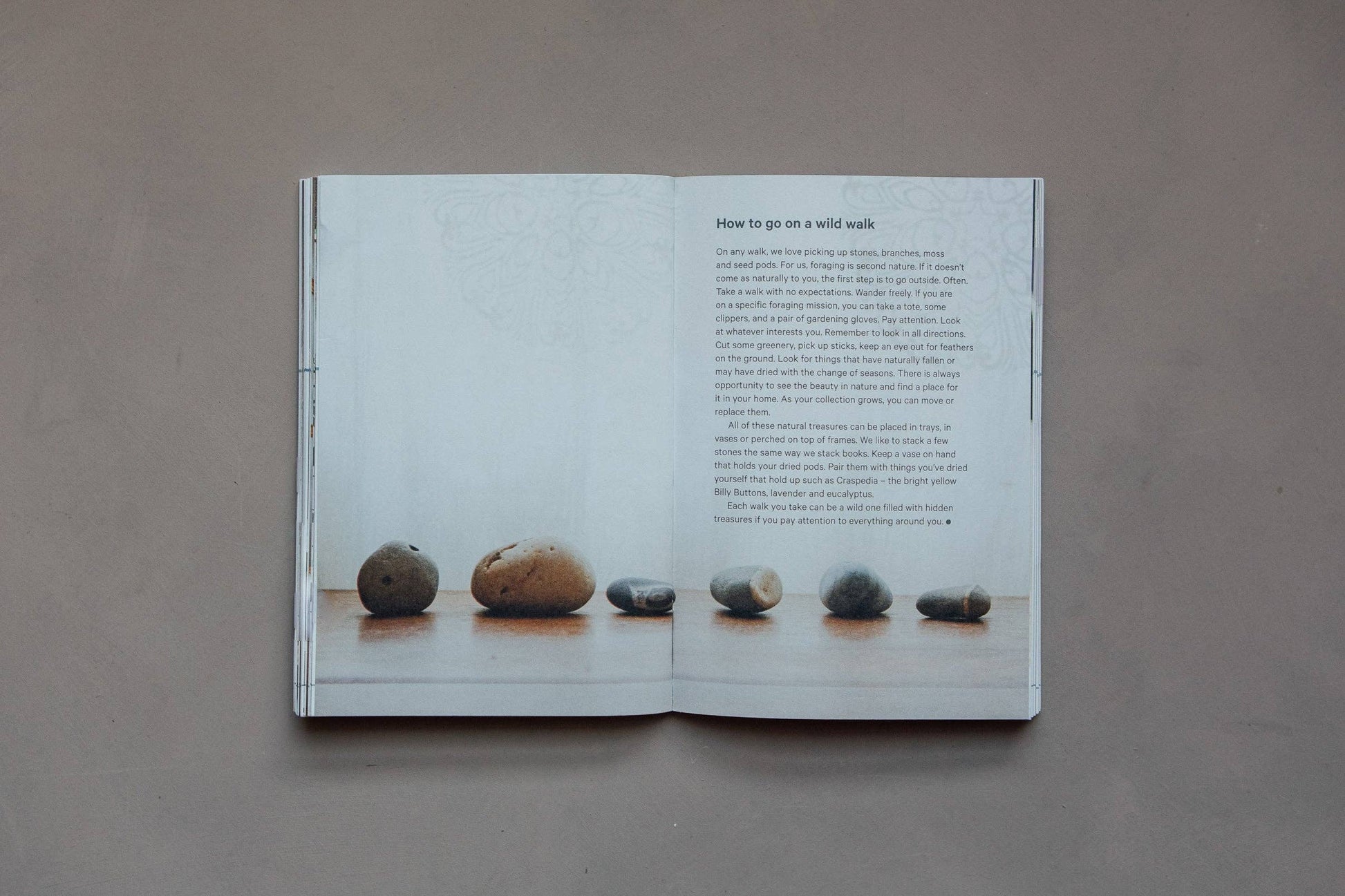 Do Inhabit, Interior Design Guide Inspired by Nature