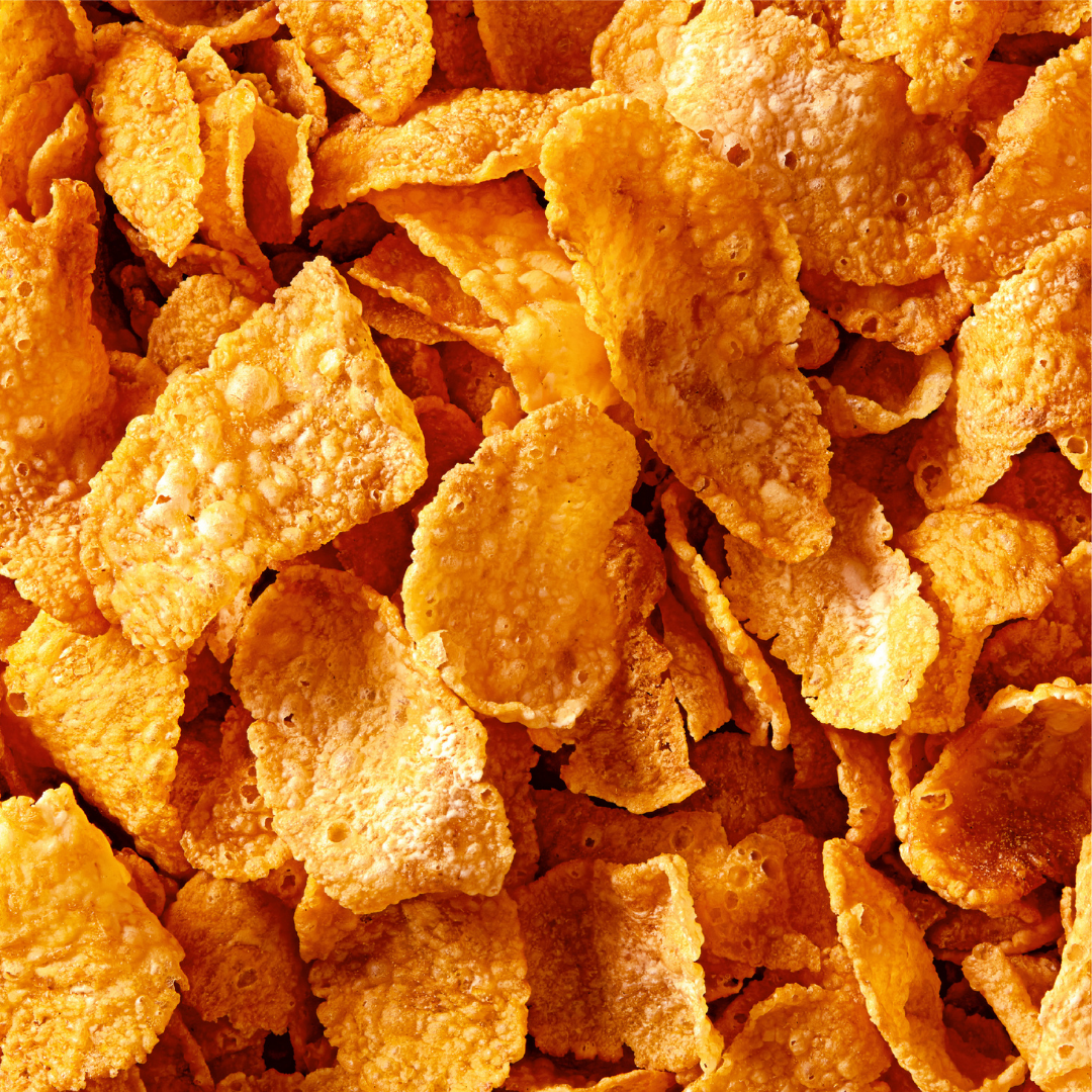 Fatso Morn'n Glory Chocolate Bar