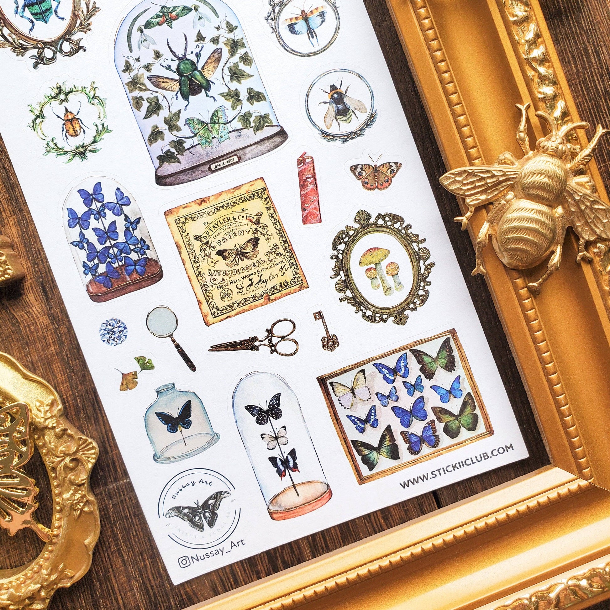 Entomology Collection Sticker Sheet