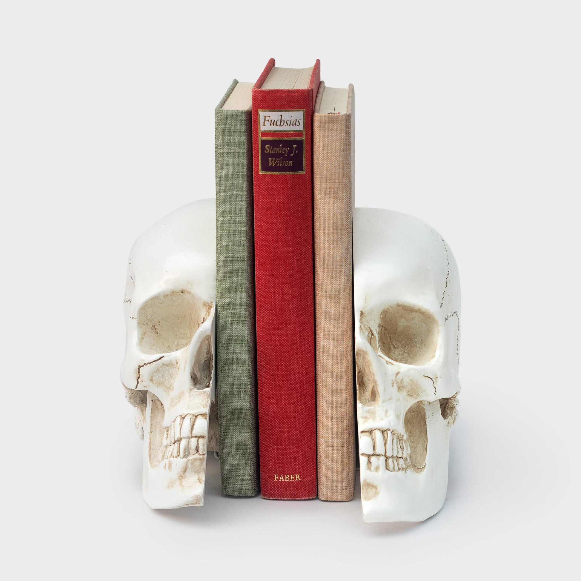 Skull Bookends