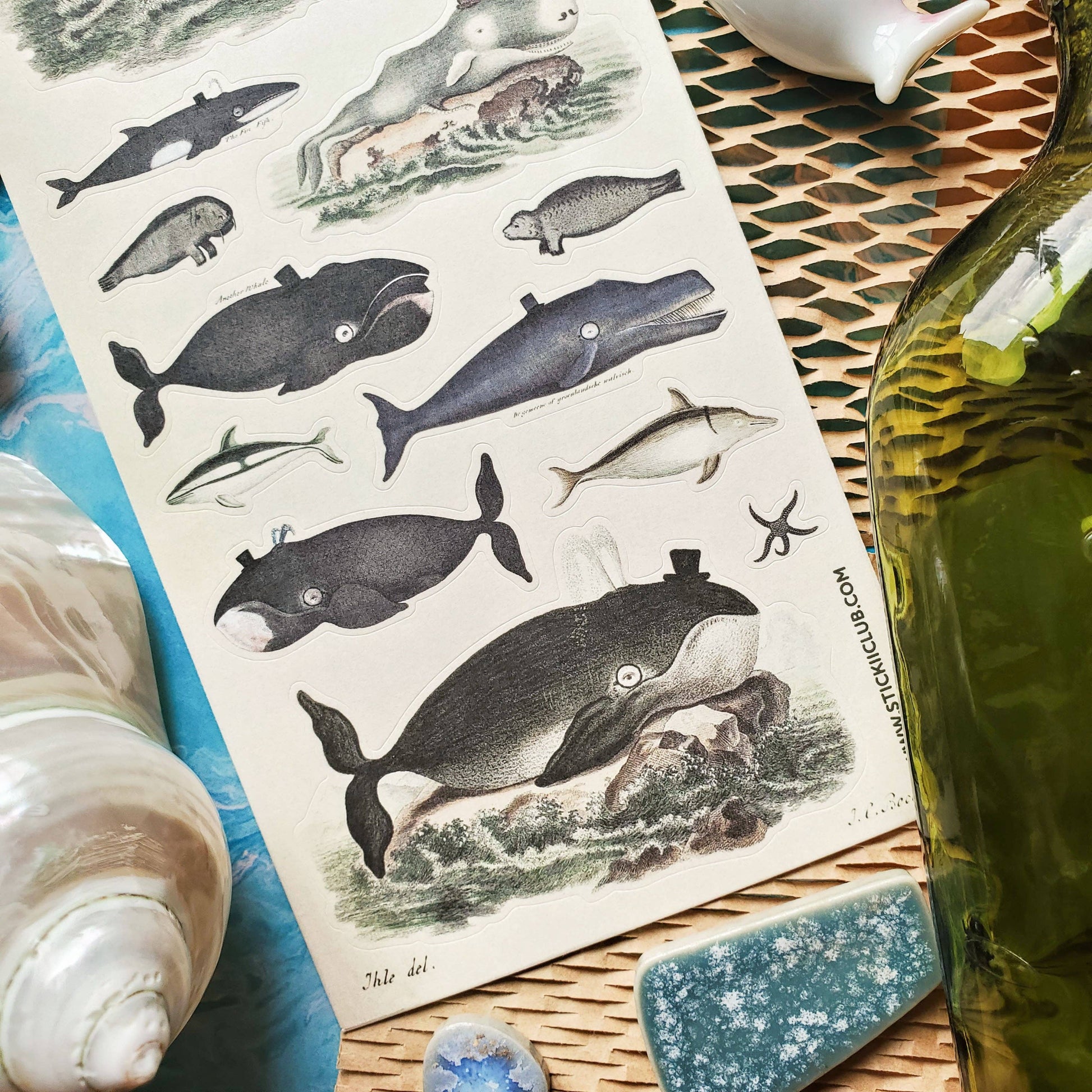 Dapper Whales Sticker Sheet