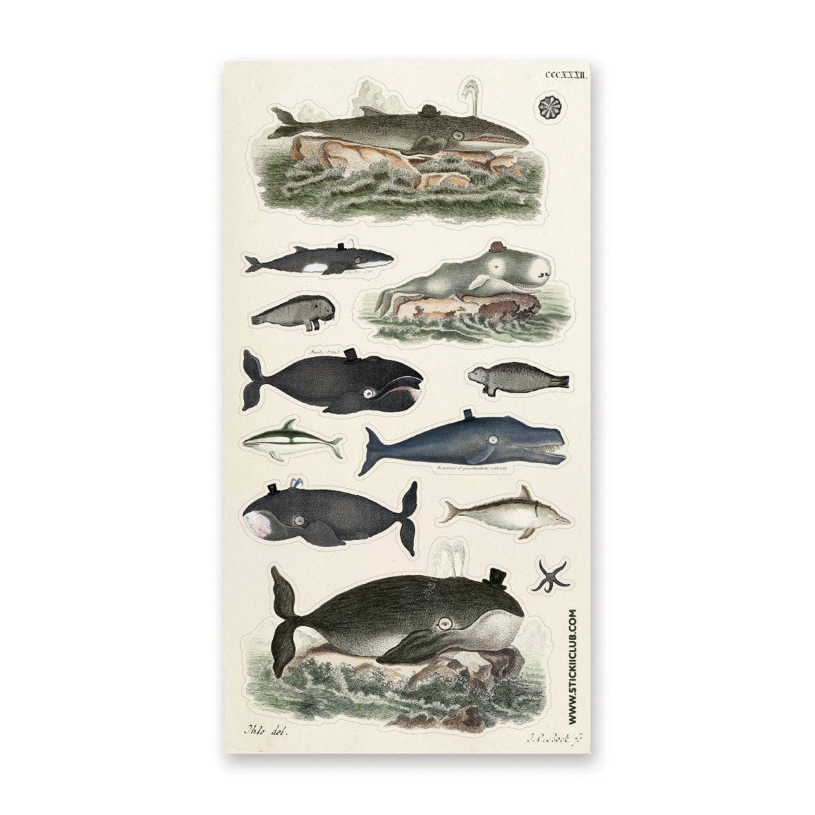 Dapper Whales Sticker Sheet