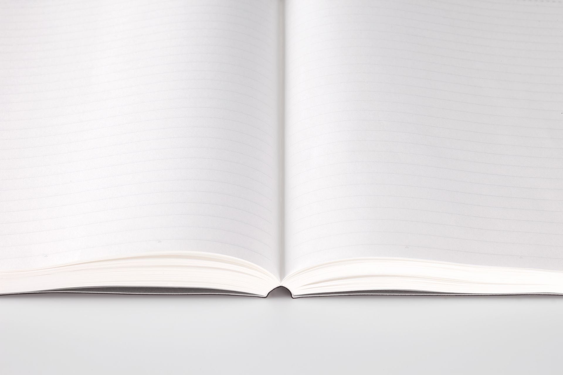 Stalogy 365 Day A5 Lined Notebook