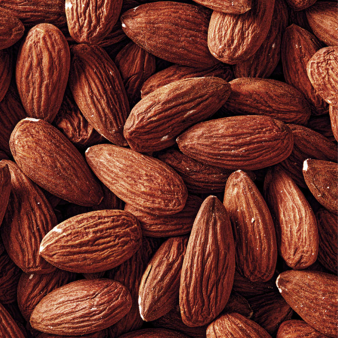 Fatso Home Run Chocolate Bar