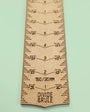 Divide & Rule Ruler