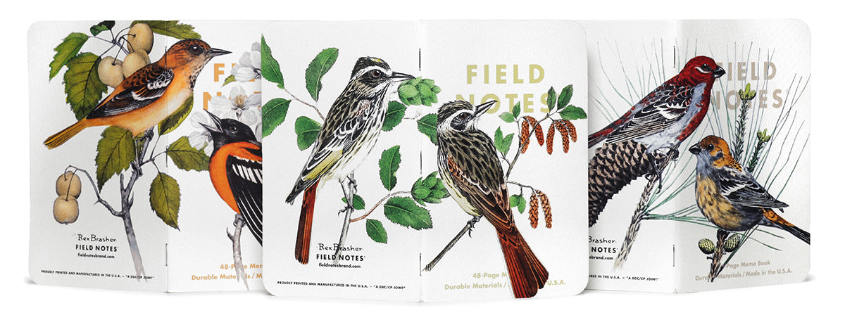 Set of four bird-themed packages with illustrations and text on a white background