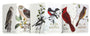 Five Field Notes notebooks with bird illustrations on their covers.