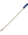 Irojiten Single Pencil King Fisher