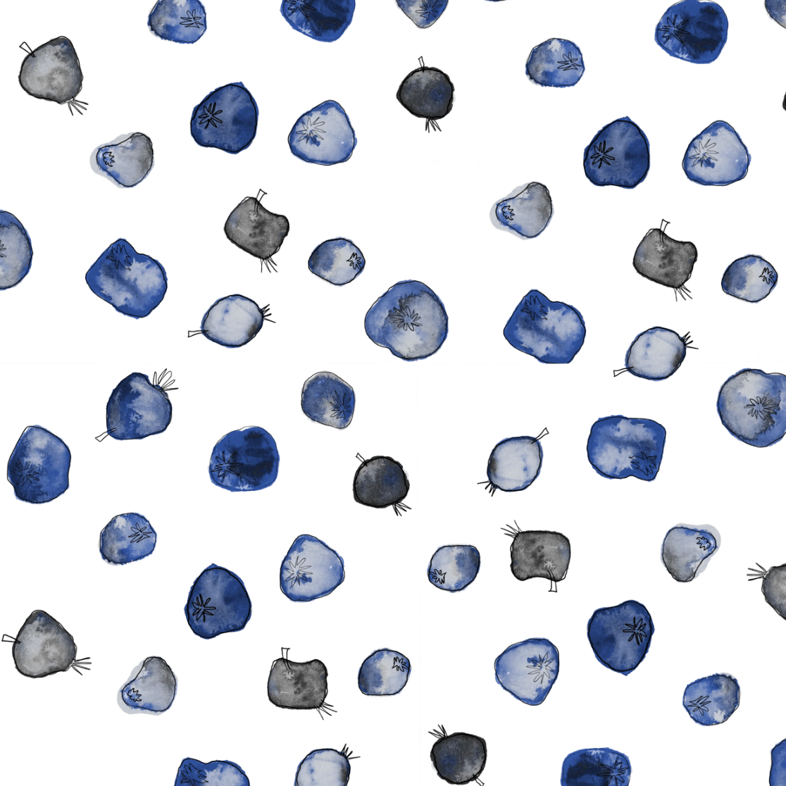 Bekele Yutute Local Landraces Coffee Beans