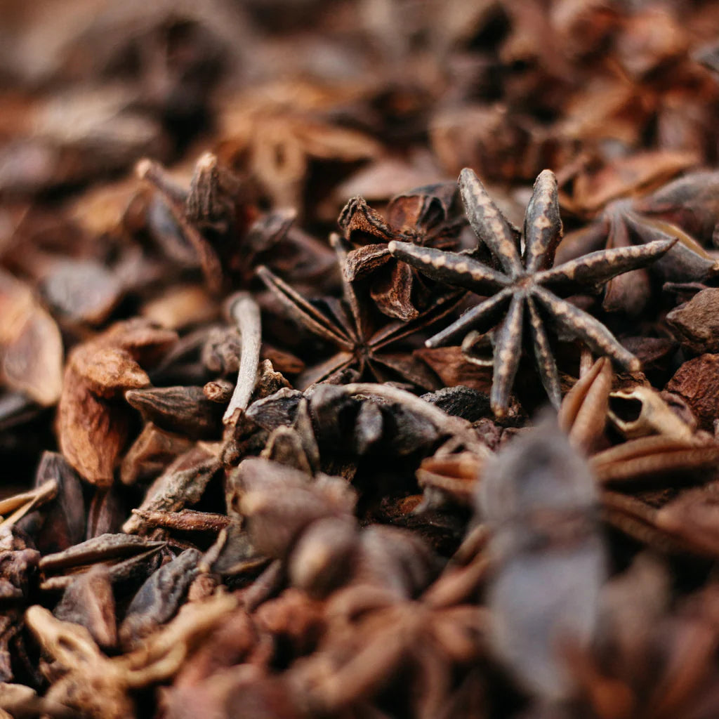 Close-up of star anise and other spices with a blurred background