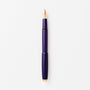 Iris fountain pen with gold accents on a white background