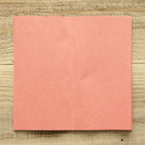 Traveler’s Factory Regular Refill Kraft Pink