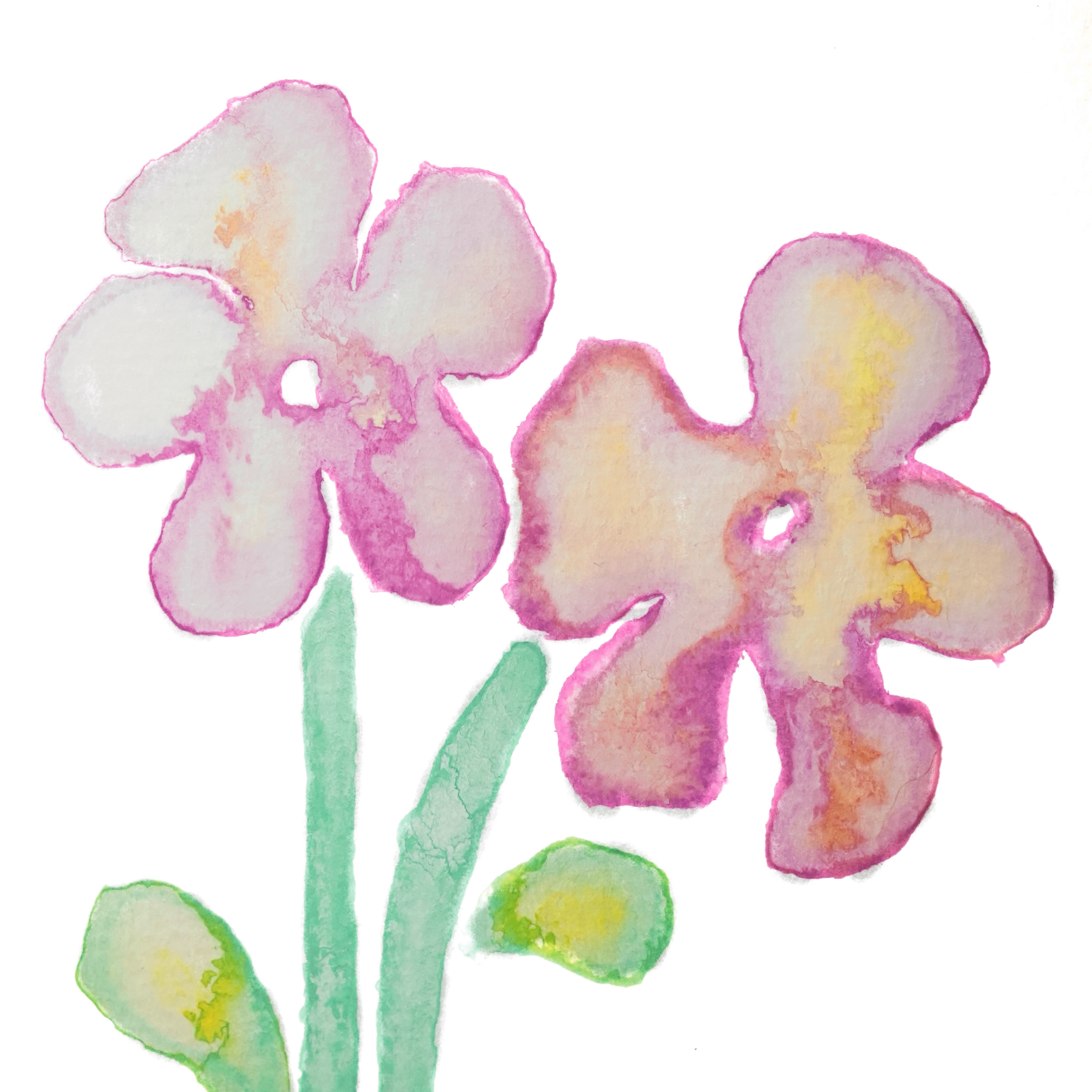 Sebastian Ramirez Geisha Coffee Beans