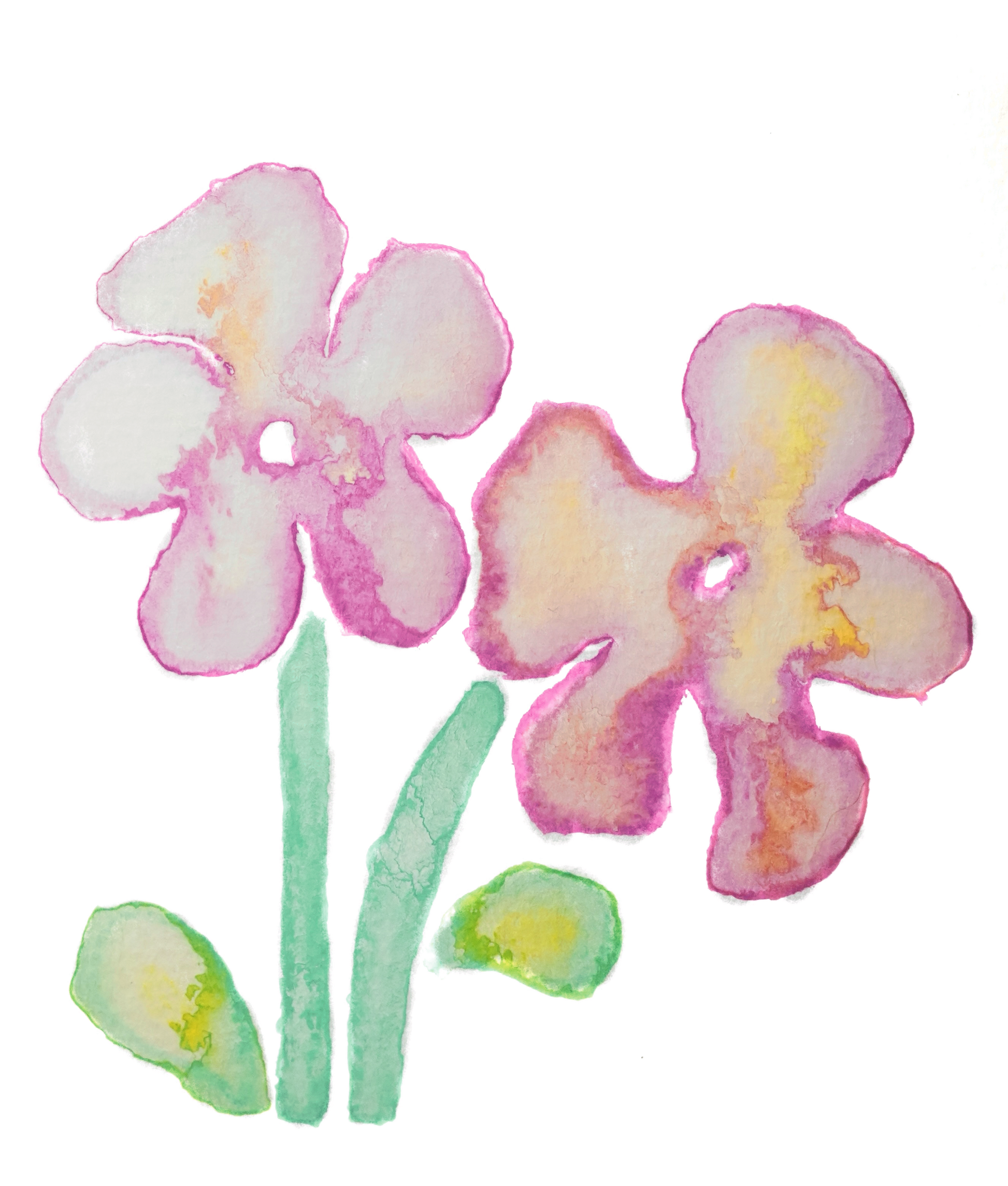 Sebastian Ramirez Geisha Coffee Beans