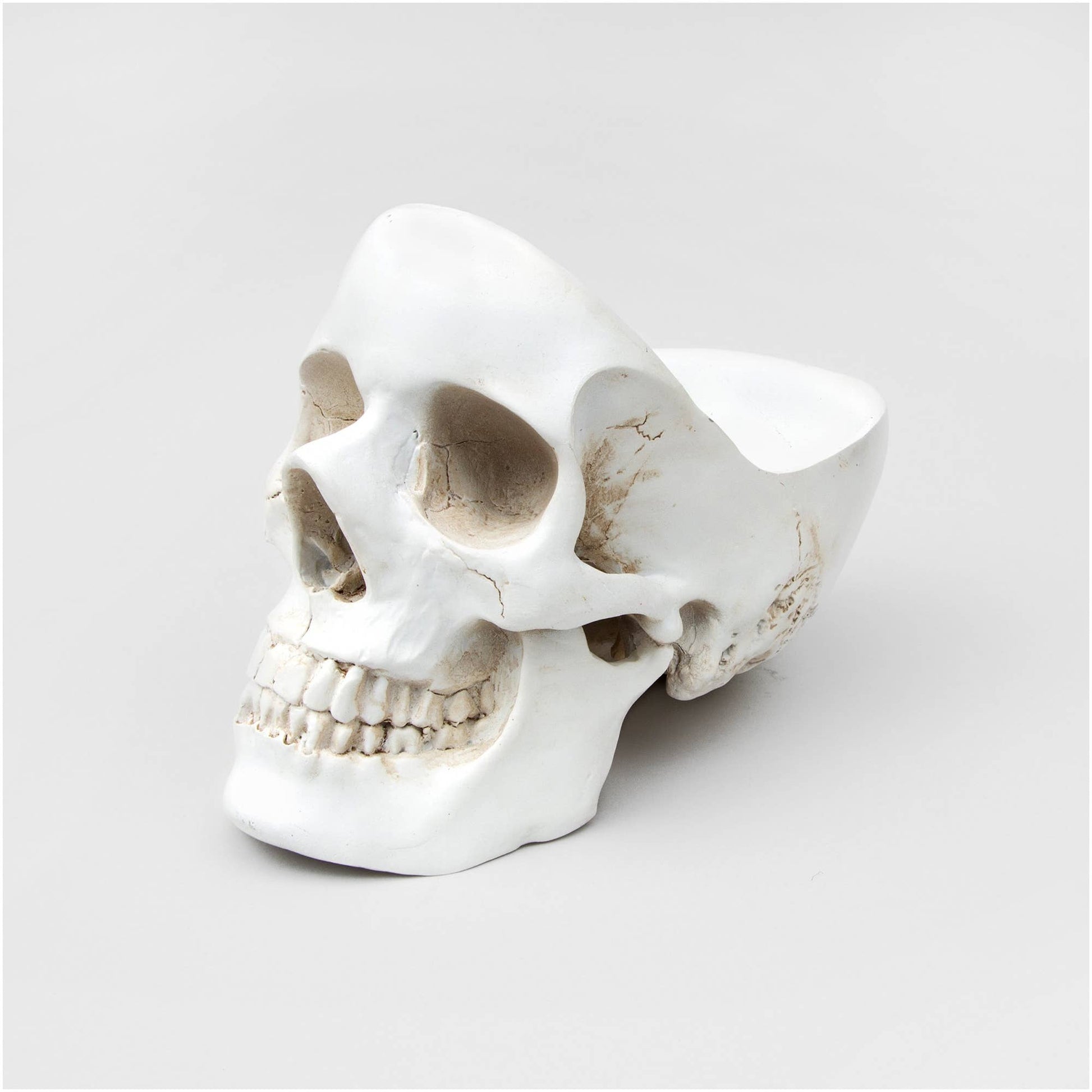 Skull Tidy (White)