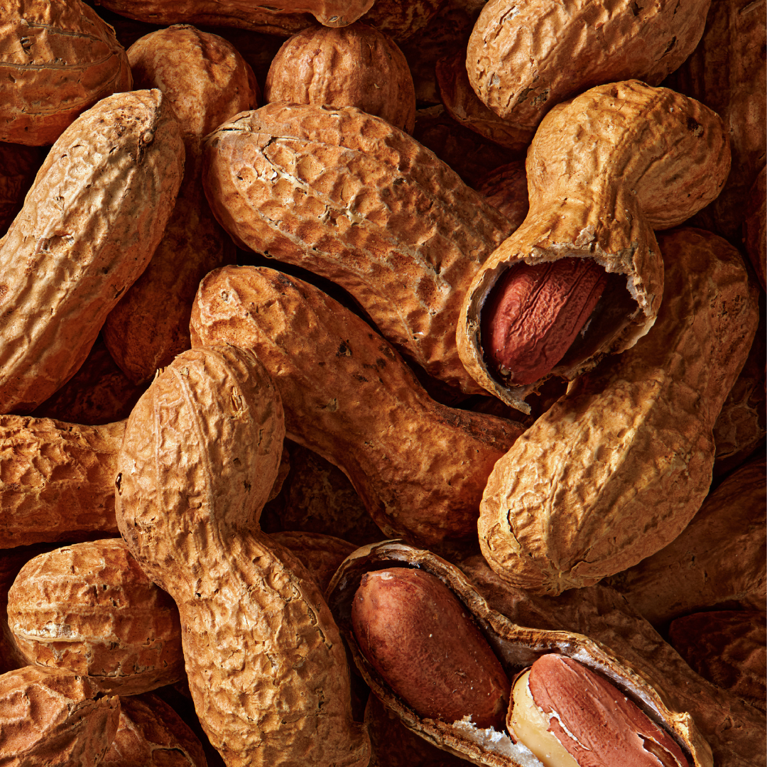 Fatso Nans Stash Chocolate Bar