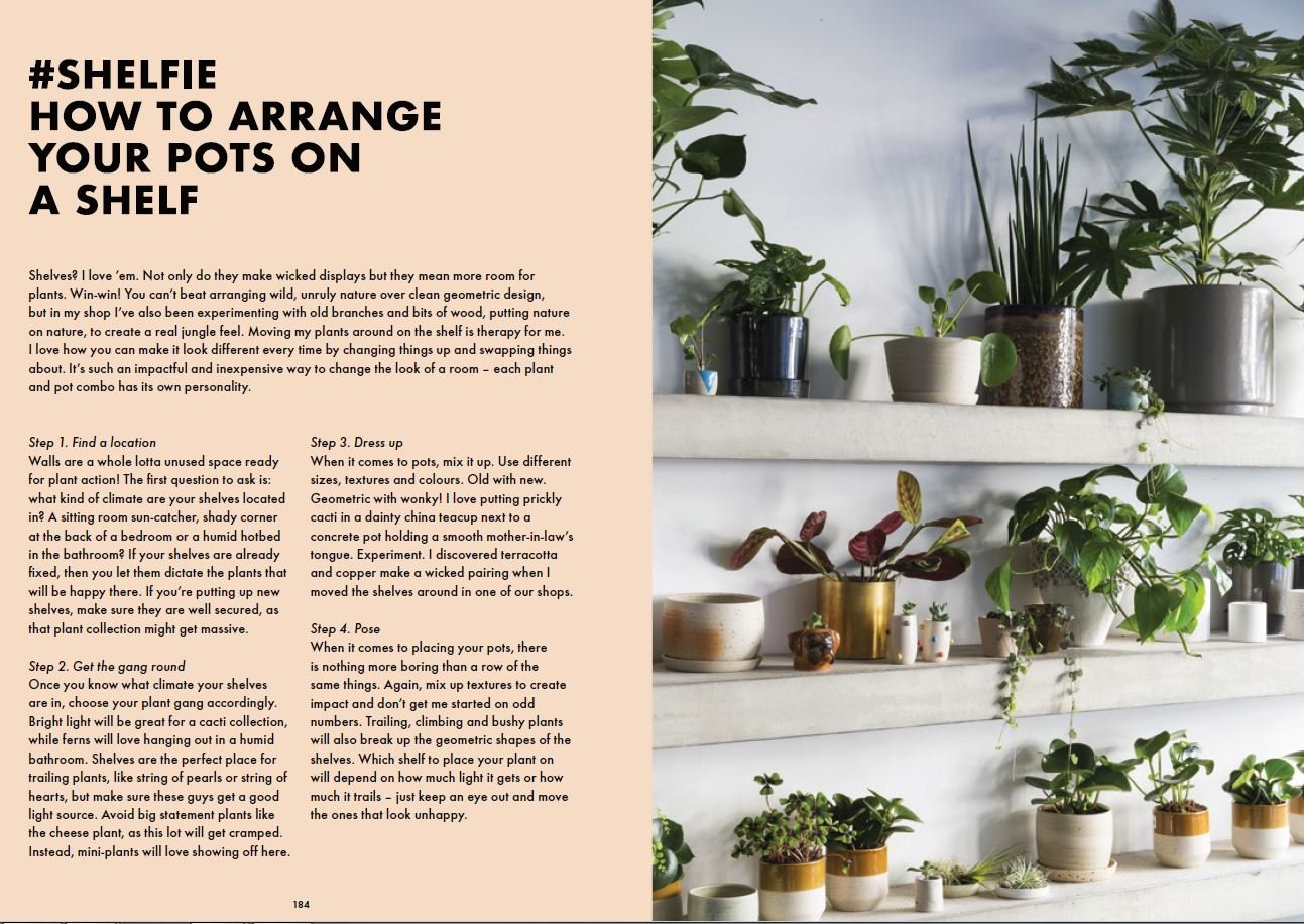How Not To Kill Your Plants