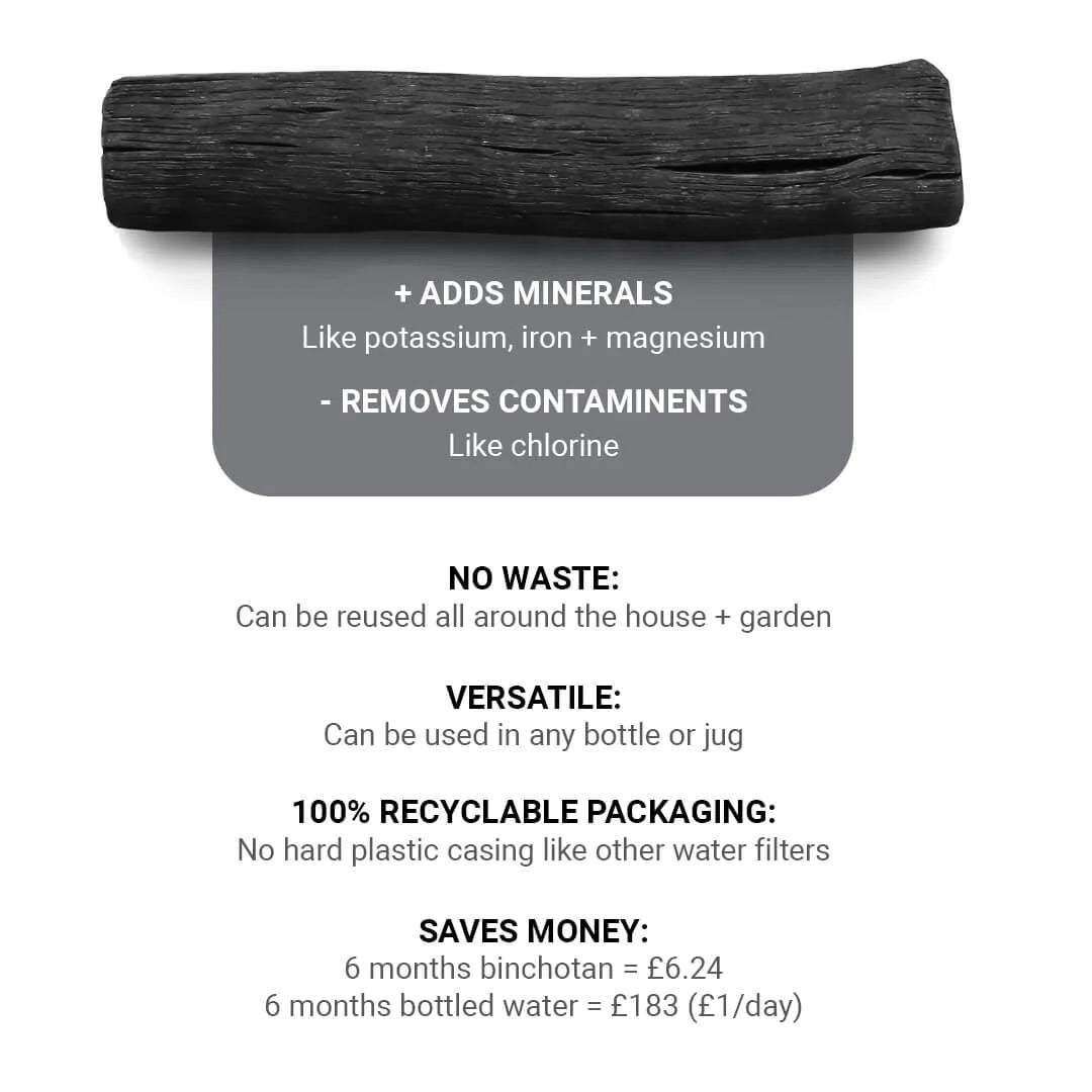 Black and Blum Charcoal Water Filter