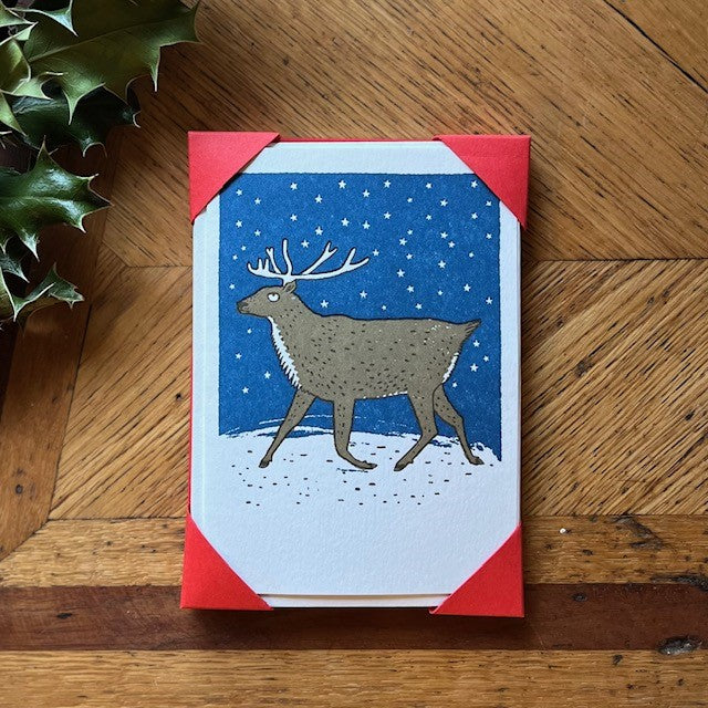 Reindeer Greeting Card Pack of 5 (A6)