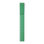 Clip ruler green on white background