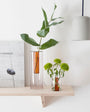 Large Reversible Glass Vase
