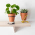 Wire Plant Pot